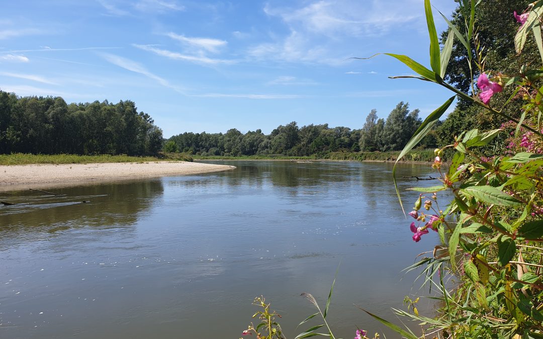 The Mura River in Slovenia - photo by A. Koren.